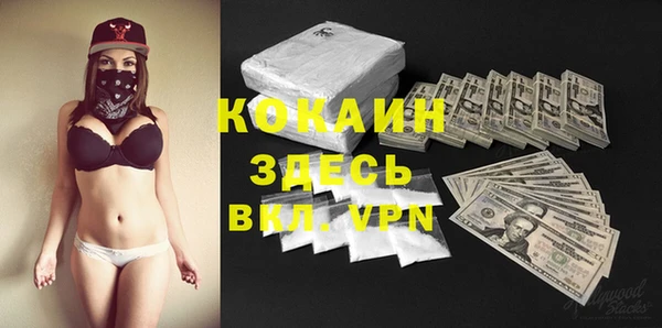 спиды Каменногорск