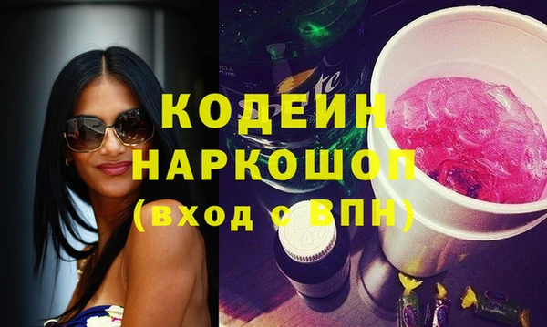 скорость Каменка