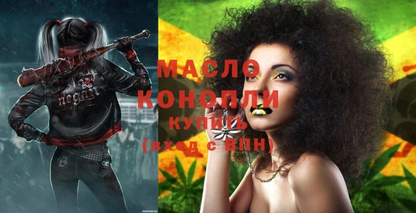 скорость Каменка