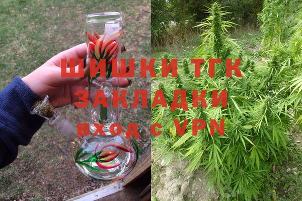 скорость Каменка
