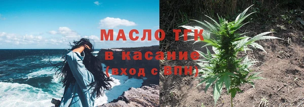 спиды Каменногорск