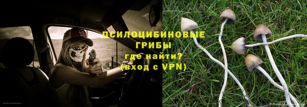 спиды Каменногорск