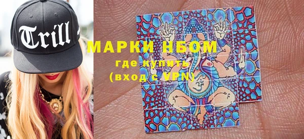 спиды Каменногорск