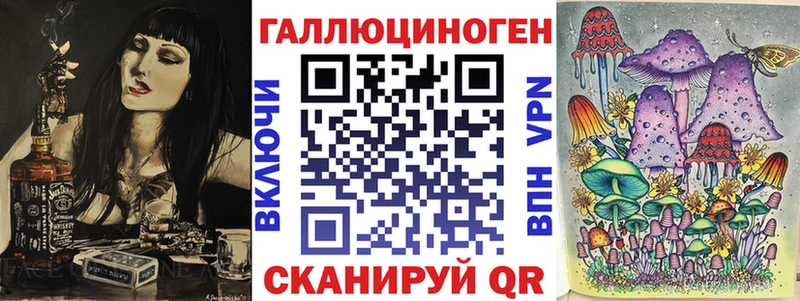 mega зеркало  Артём  Галлюциногенные грибы мицелий 